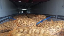 Dodávka brambor